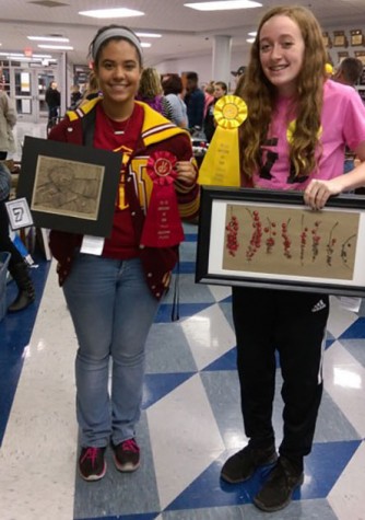 Tonka students win awards at local art competition