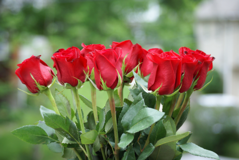 Mother’s Day