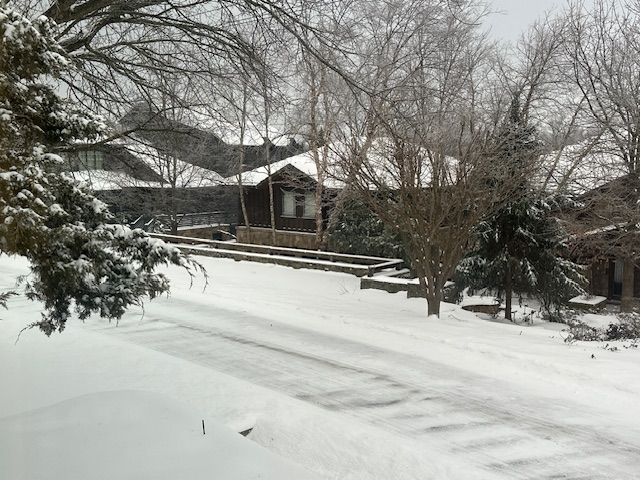 IT'S SO QUIET Except for the occasional snow plow, the street outside remains still. During that first snow day, the snowplow passed her home about 40 times. "Keeping track of the snow plows became a fun game," O'Connell said. 